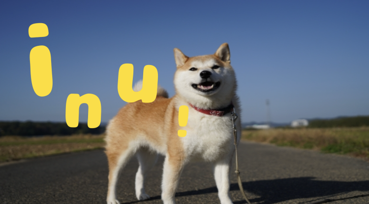 inu!